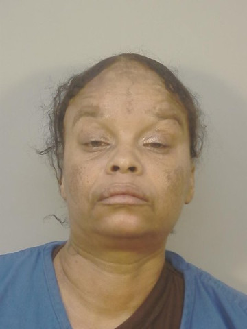 Mugshot of LEE ANN ANDERSON