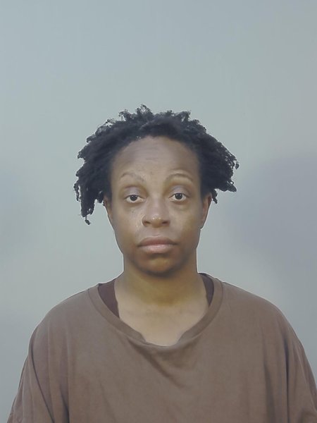 Mugshot of KARINA BERTHANN SHERMAN