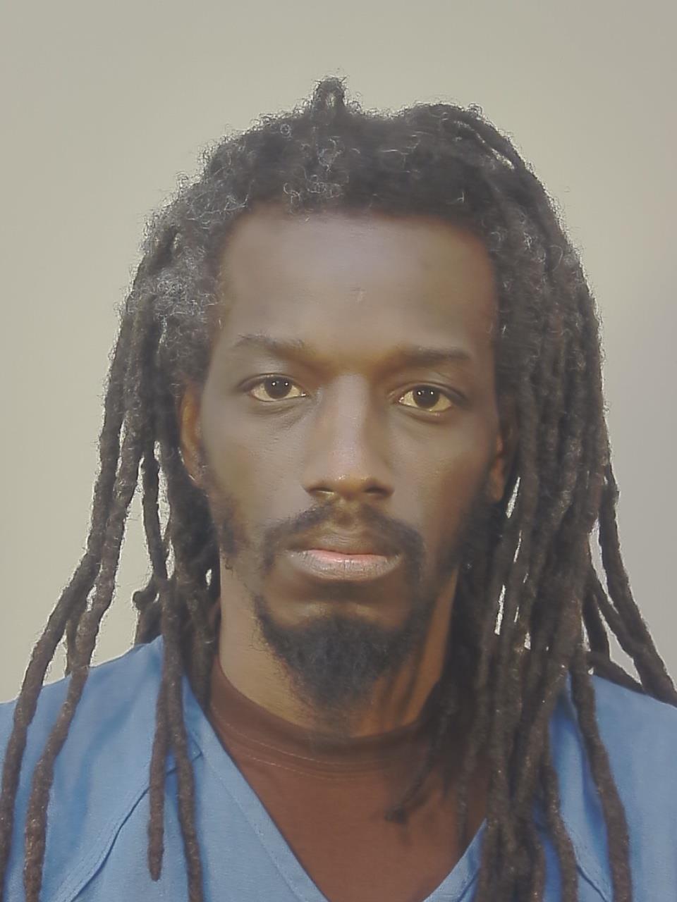 Mugshot of MICHAEL NATHAN-LAWRENCE MARTIN