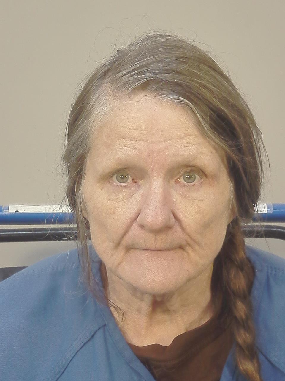 Mugshot of TERESA A YAKES