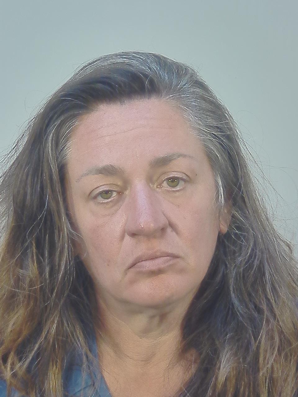 Mugshot of SUSAN ELMA JOHNSON
