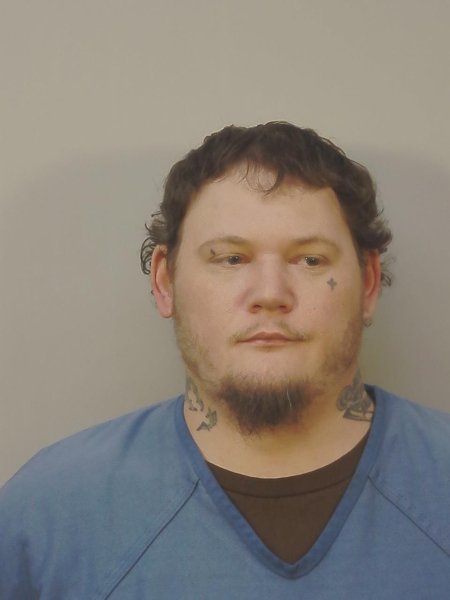 Mugshot of STEVEN DOUGLAS SKULDT