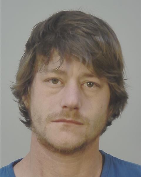 Mugshot of DYLAN MICHAEL SKRAM