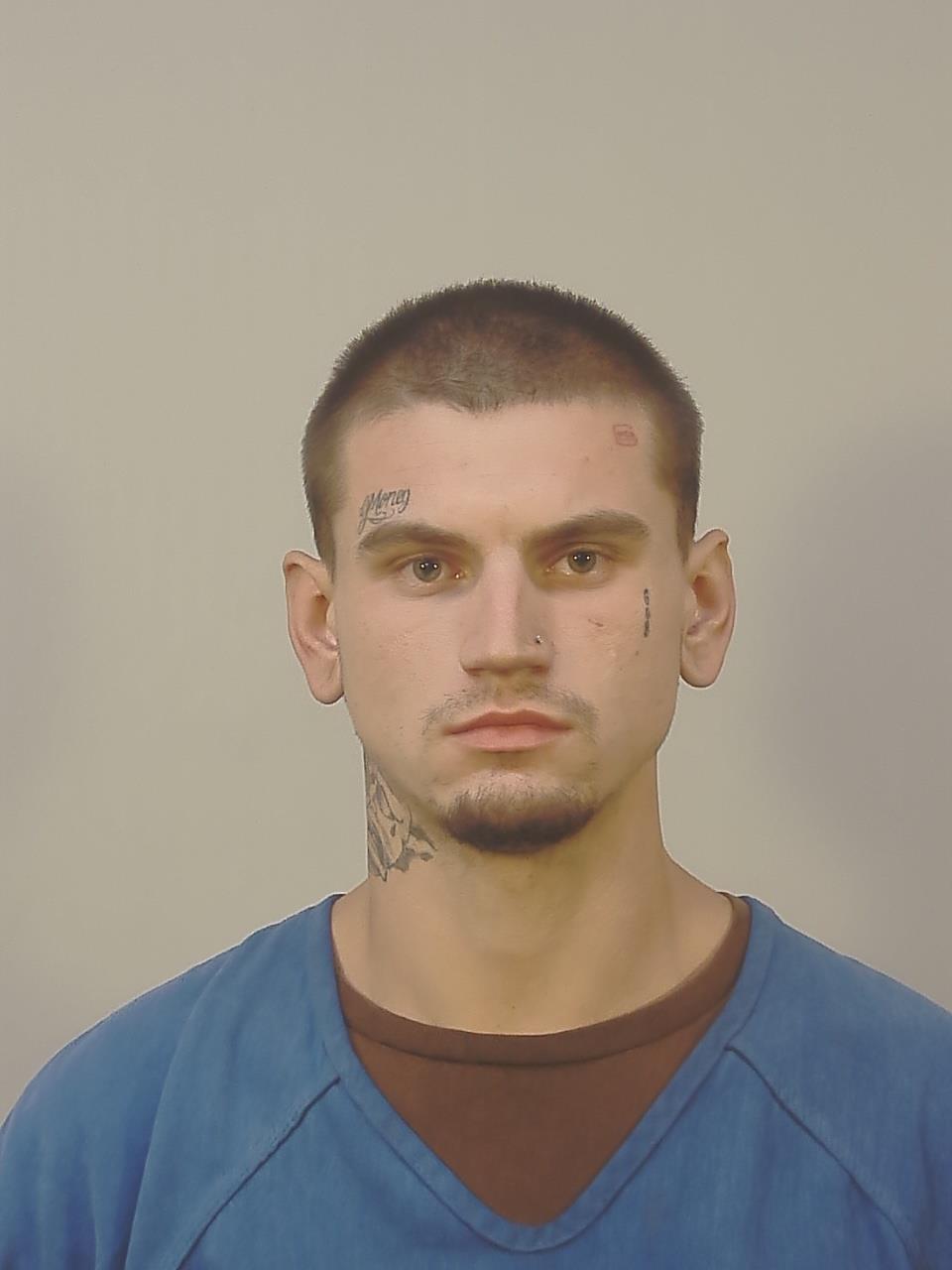 Mugshot of GEUVANNI ALEXANDER PETROSELLI
