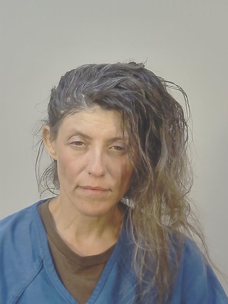 Mugshot of MIRJANA PETROVICH