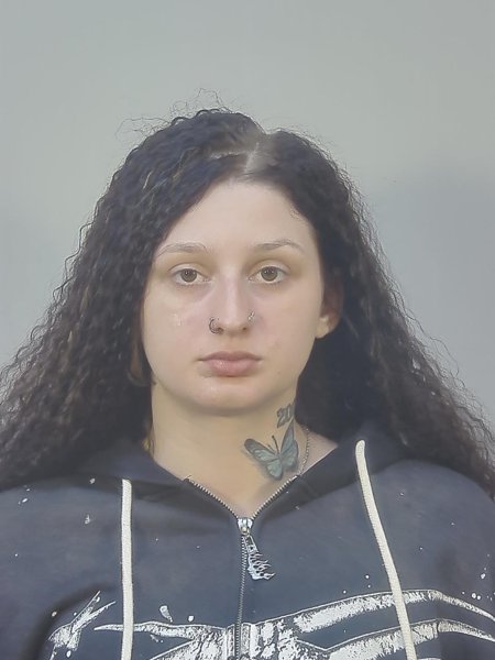 Mugshot of MICHELLE MARIE MILLER