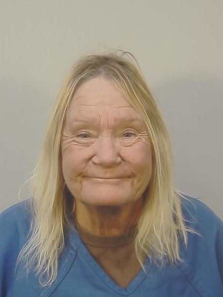 Mugshot of SUSAN E PETERSON