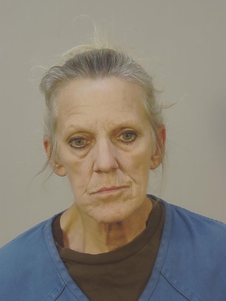 Mugshot of TONI JEAN WATNEM
