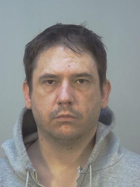 Mugshot of WALTER REIS MEANWELL