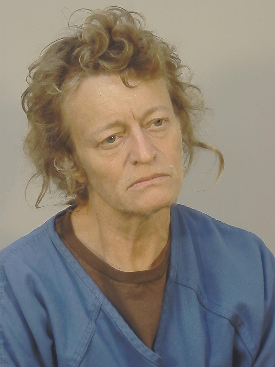 Mugshot of SHELLY ANN SEAY