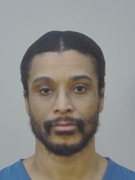 Mugshot of ROBIN LAVANCE PERKINS
