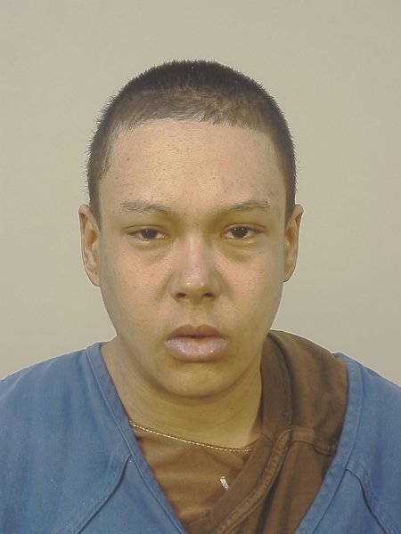 Mugshot of HANNAH KAY PHENEGAR