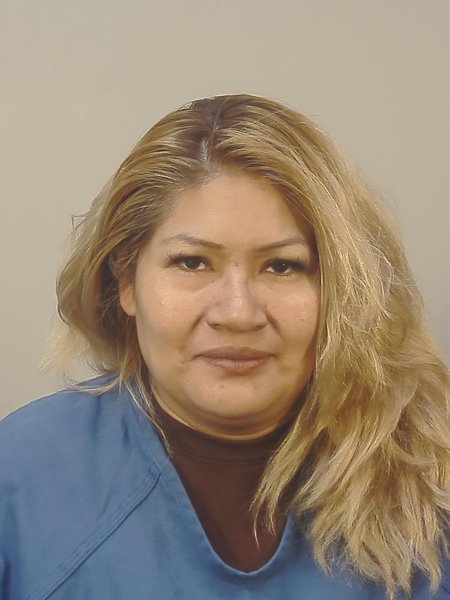 Mugshot of ELENA SHAUK SHAKAIM WASHICTA