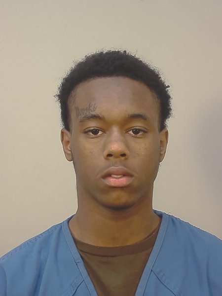 Mugshot of WILLIE LEWIS WALLS