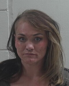 Mugshot of DAKOTA M DEFOE