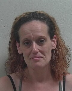Mugshot of PAMELA G MCMULLIN