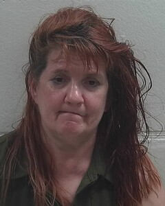 Mugshot of ARLENE R MACKIE