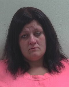 Mugshot of ALYSHA L FRINK