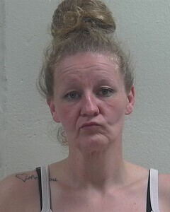 Mugshot of CHRISTINA M GREER