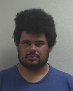 Mugshot of DAVID R HEMMER