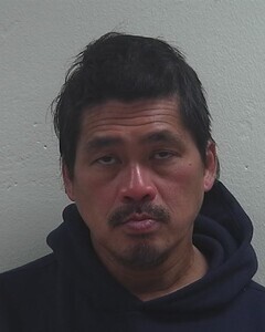 Mugshot of HOANG N NGUYEN