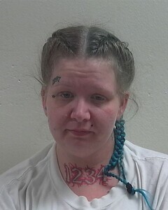 Mugshot of TAYLOR N MANGERSON