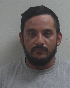 Mugshot of JOSE E SALGADO-SALGADO