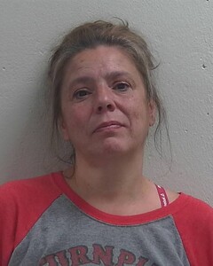 Mugshot of AMY J RABOIN