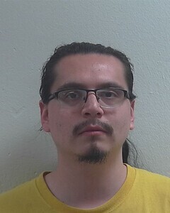 Mugshot of CAMERON W GHOST