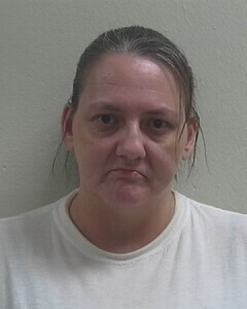 Mugshot of LISA E BELT