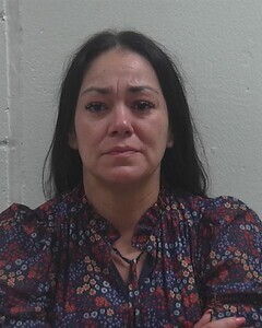 Mugshot of NANCY L ORIVE