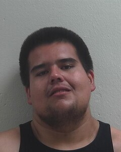 Mugshot of JOHN D HOULE