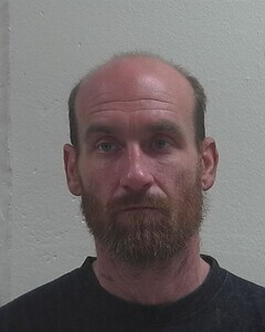 Mugshot of MICHAEL D GARRITY