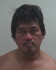 Mugshot of HOANG N NGUYEN