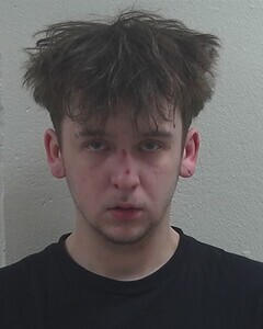 Mugshot of LOGAN S BAKER