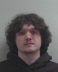 Mugshot of NOLAN C TOLLEFSON