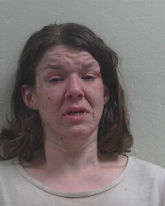 Mugshot of MARLENA R MAUCIERI