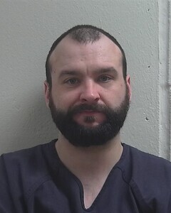Mugshot of AUSTIN J SWANSON