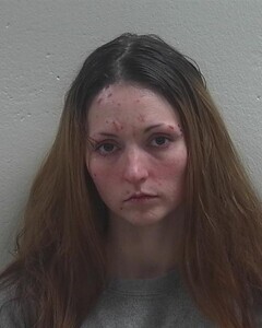 Mugshot of JACEY N NORKUNAS