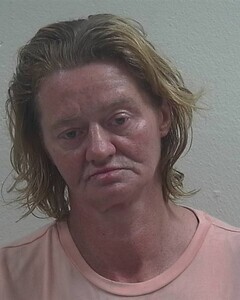 Mugshot of ERICA L PETHERS