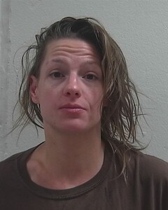Mugshot of TARA N CERIO