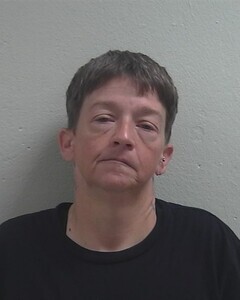 Mugshot of TARASSA L WEBB