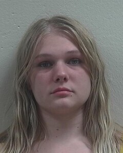 Mugshot of LILLI L ARFSTEN
