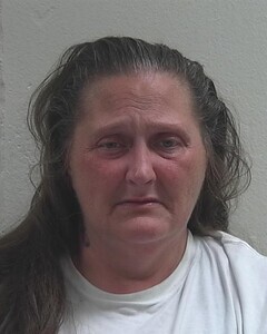 Mugshot of RACHEL L DAVENPORT