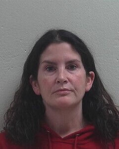 Mugshot of MEGAN M FLINT