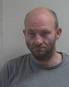 Mugshot of ALEXANDER C LANDFRIED