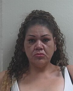 Mugshot of MISTY M DIGGS