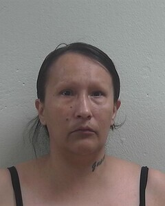 Mugshot of ANDREA L MILLER