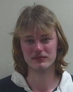 Mugshot of SHANE D MICHALSKI