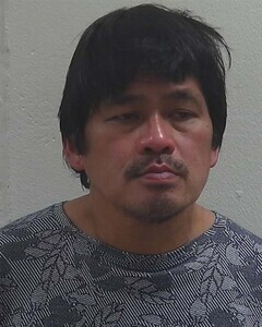 Mugshot of HOANG N NGUYEN